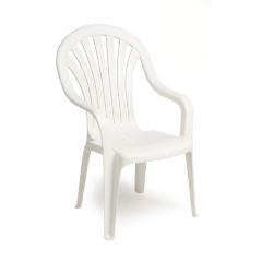 Cadeira Plástica Poltrona com Braço